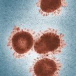 microscopic shot of a virus